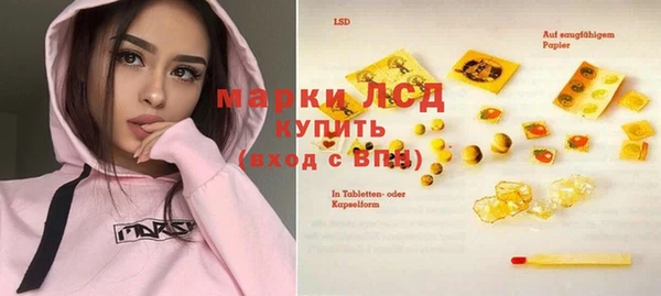 PSILOCYBIN Богородицк