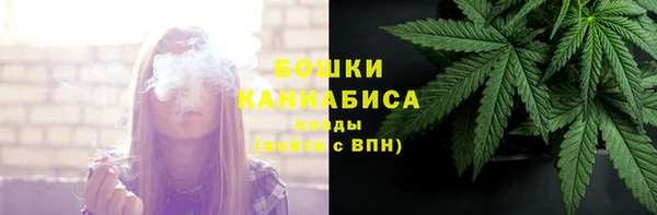 PSILOCYBIN Богородицк