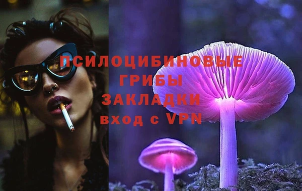 PSILOCYBIN Богородицк