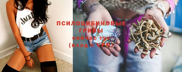 мдма Богданович