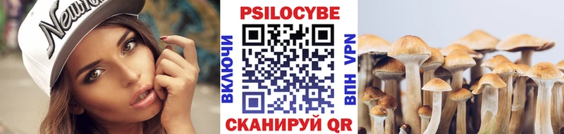 купить   Донской  Псилоцибиновые грибы ЛСД 